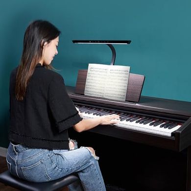 Pro LED Piano Lights: 5-Level Dimming & Color Temperature
